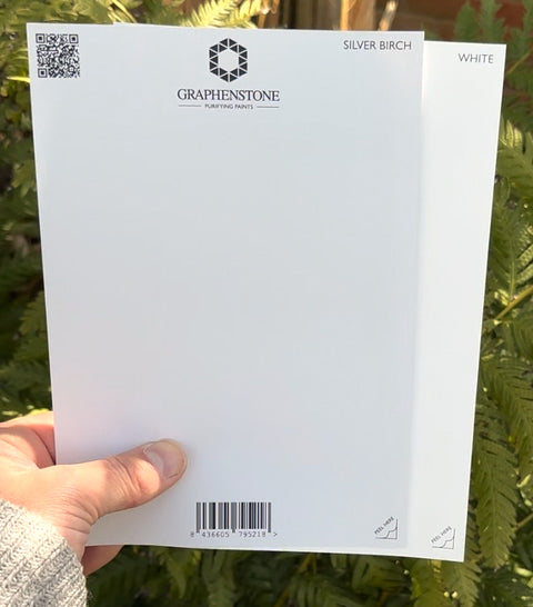 Grafclean Natural Emulsion - Silver Birch - Graphenstone