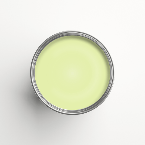 Auro 516 - Coloured Gloss Paint - Lime Peel 20