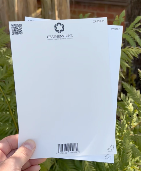 Grafclean Natural Emulsion - Cassium - Graphenstone