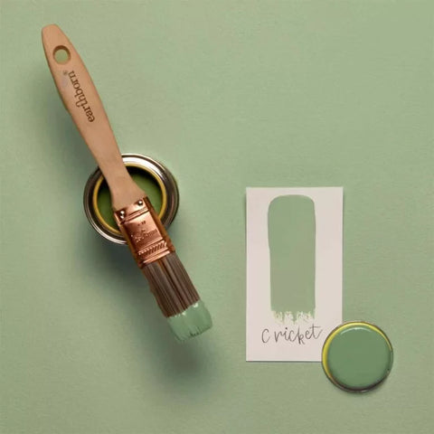 Earthborn Lifestyle Emulsion - Hybrid washable Eco Paint