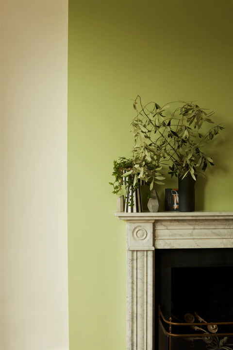 Earthborn Flutterby Earthborn Claypaint - Flutterby | Greenshop Paints