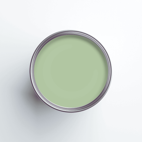 Earthborn Lifestyle Emulsion - Cricket