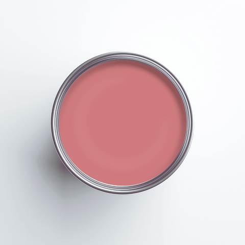 Earthborn Claypaint - Delilah