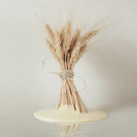Earthborn Silicate Masonry Paint - Barley