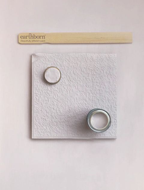 Earthborn Silicate Masonry Paint - Ash