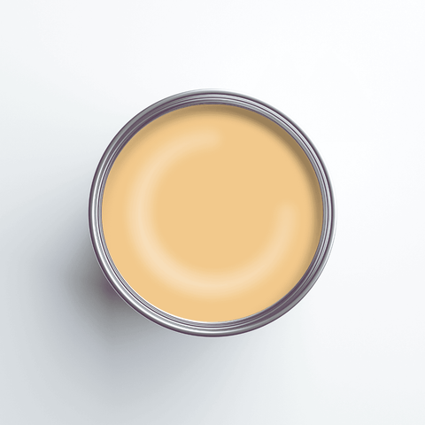 Earthborn Silicate Masonry Paint - Honeycomb