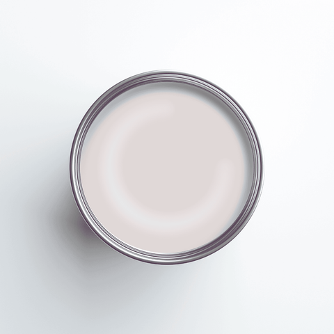 Earthborn Silicate Masonry Paint - Ash