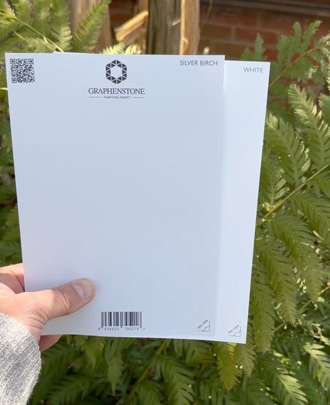 Grafclean Natural Emulsion - Silver Birch - Graphenstone
