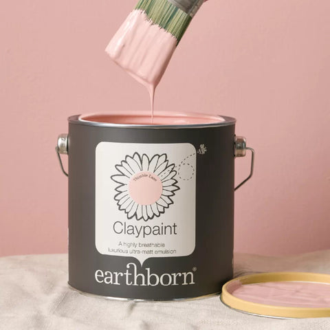 Beautiful view of Soy Eco Based Wall Paint