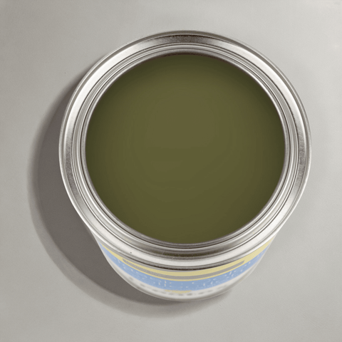 Earthborn Silicate Masonry Paint - Ash