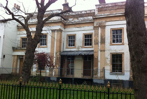 Lime Paint Colours (Limewash + Pigment Bag) by Lime Earth Paints