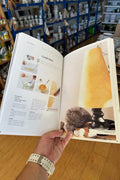 Inside pages of The Natural Paint Decorator showing a natural paint recipe