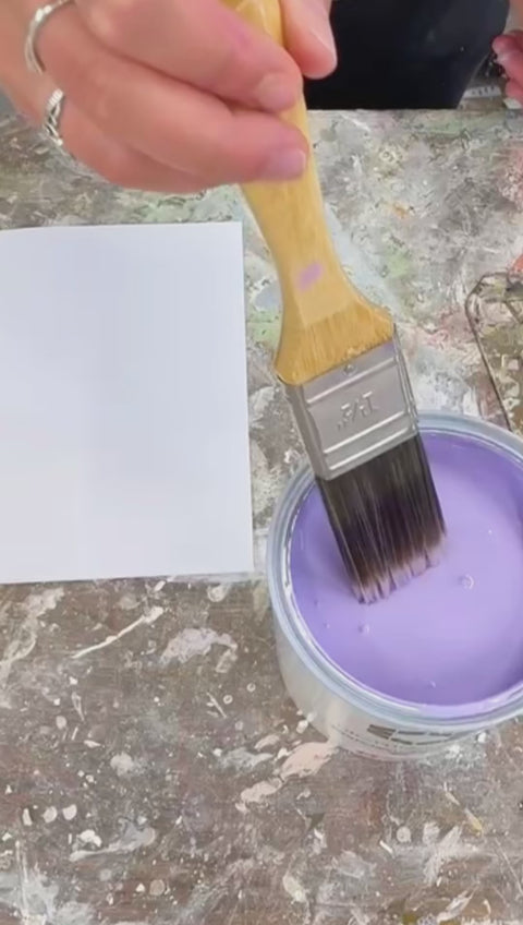 Wood & Trim Paints - Eco friendly & Sustainable
